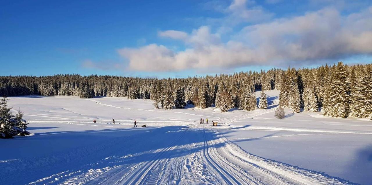 Horska Kvilda - Ubytovani U Chvalu Exterior foto