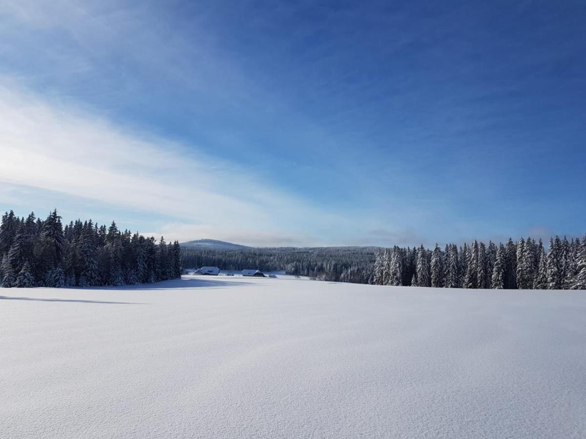 Horska Kvilda - Ubytovani U Chvalu Exterior foto