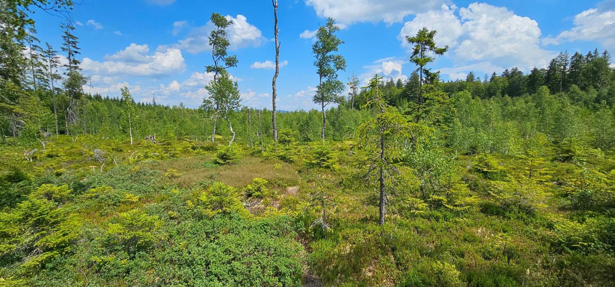 Horska Kvilda - Ubytovani U Chvalu Exterior foto