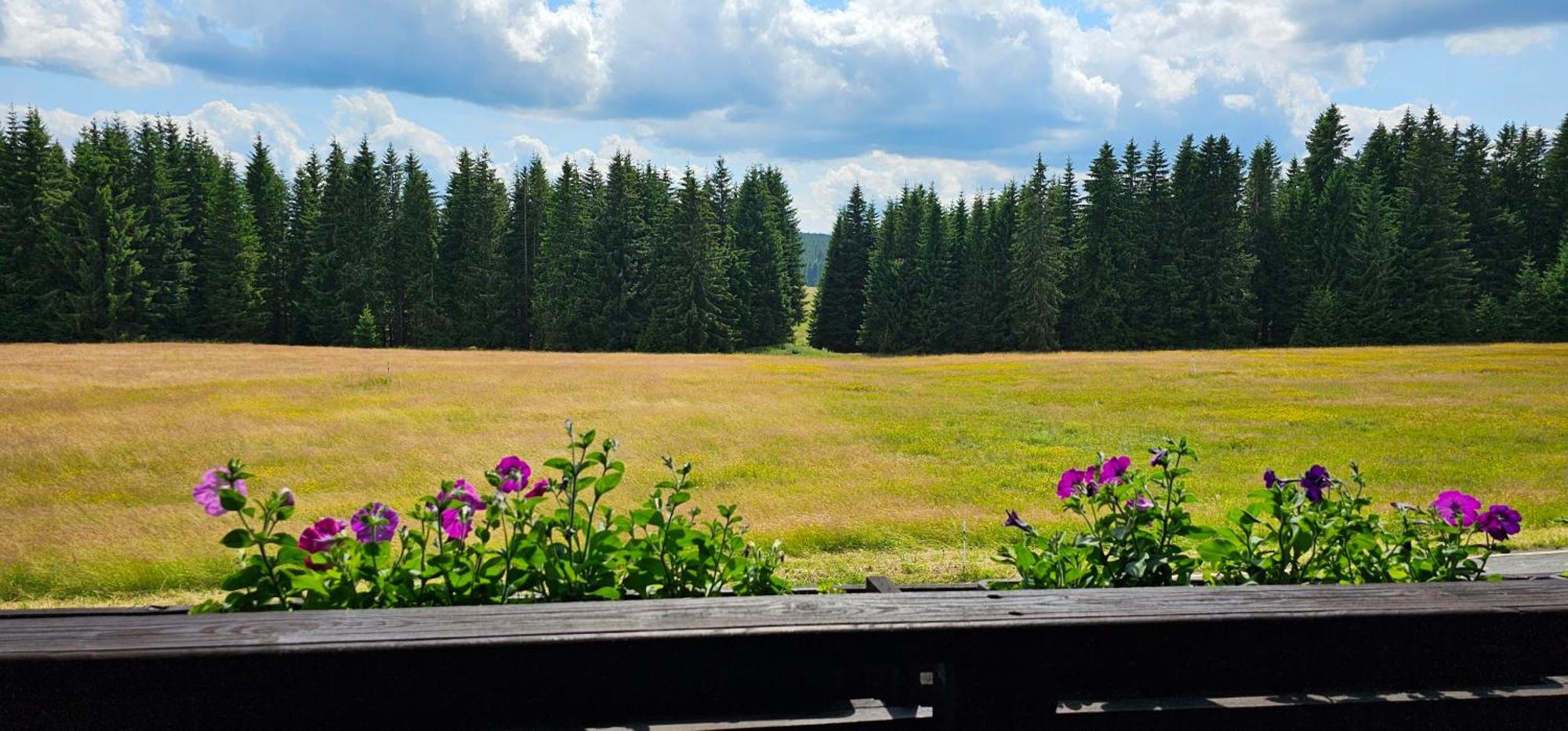 Horska Kvilda - Ubytovani U Chvalu Exterior foto